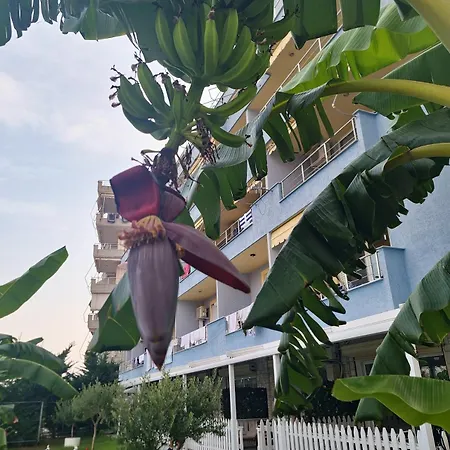 Apartment Suncoast Near Port &