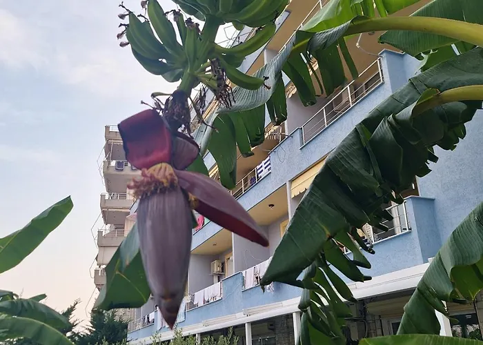 Apartament Suncoast Near Port &